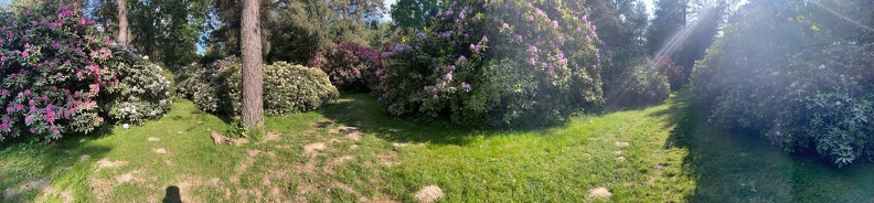 23-06-03 17-24-05 5826.jpeg